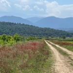 خرید زمین سنددار برای سرمایه گذاری